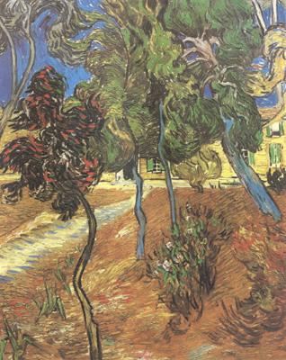 Vincent Van Gogh Trees in the Garden of Saint-Paul Hospital (nn04)